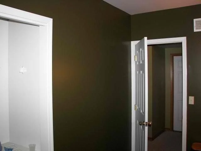 Room with olive green painted walls and white interior doors